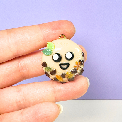 Saison - Cook'automne